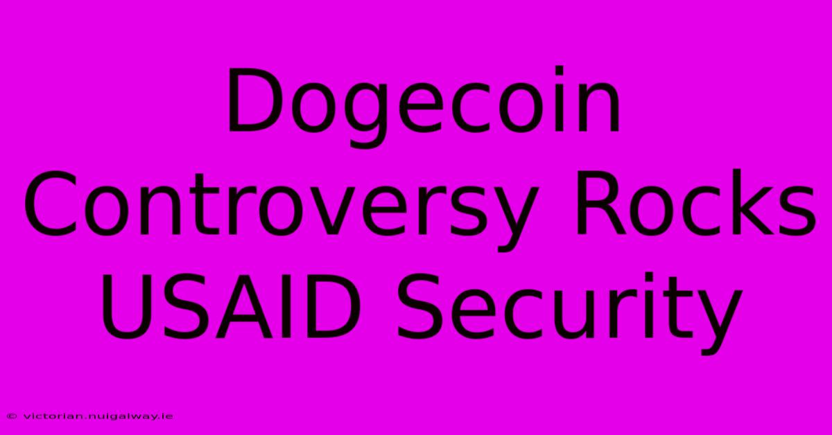 Dogecoin Controversy Rocks USAID Security