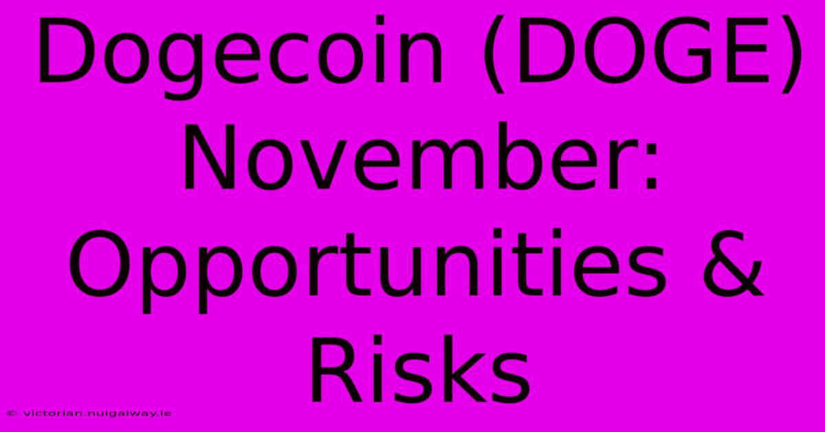 Dogecoin (DOGE) November: Opportunities & Risks 