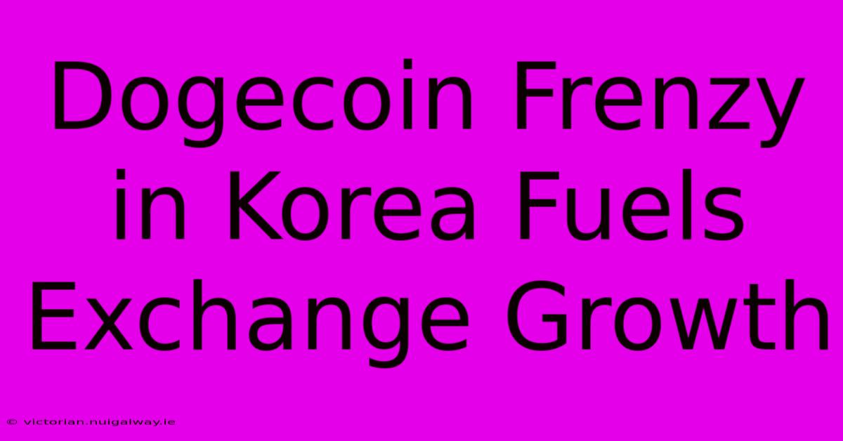 Dogecoin Frenzy In Korea Fuels Exchange Growth 