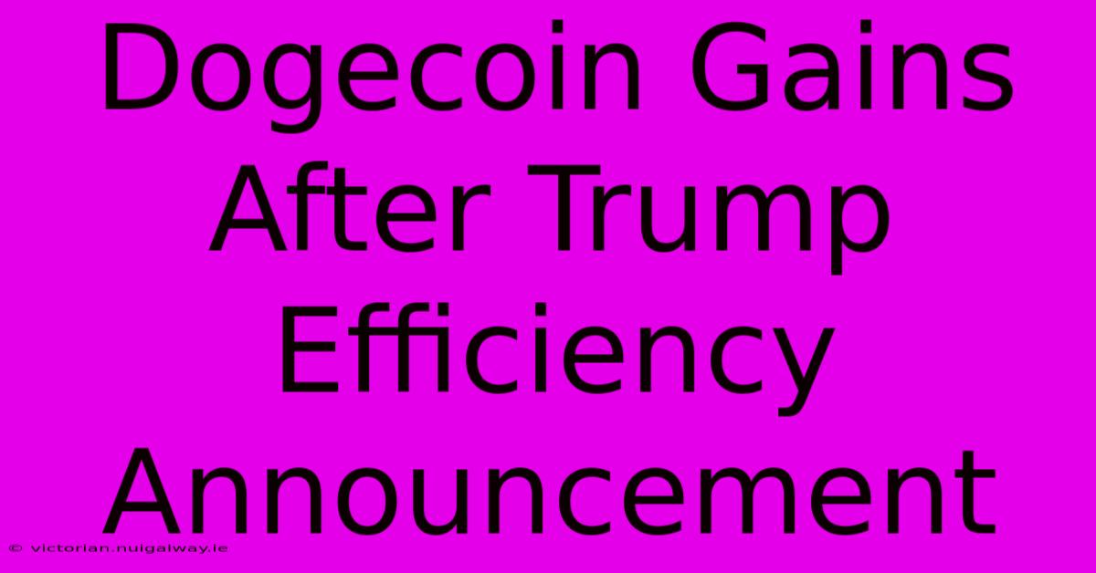 Dogecoin Gains After Trump Efficiency Announcement 