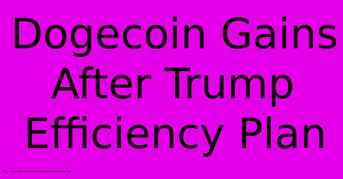 Dogecoin Gains After Trump Efficiency Plan 