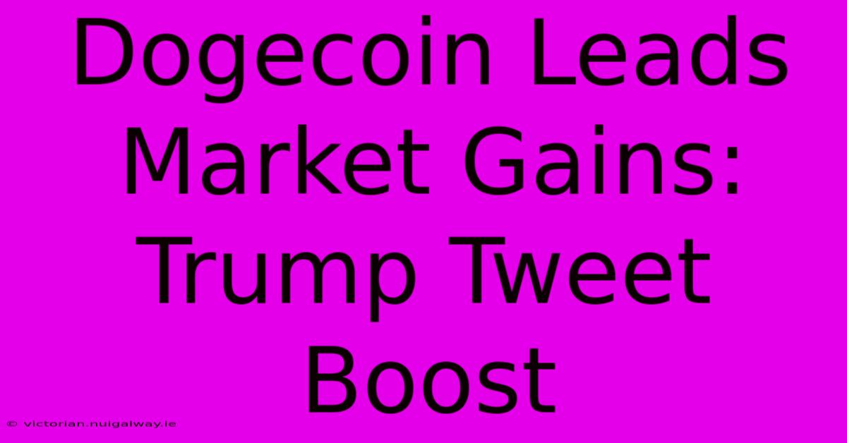 Dogecoin Leads Market Gains: Trump Tweet Boost