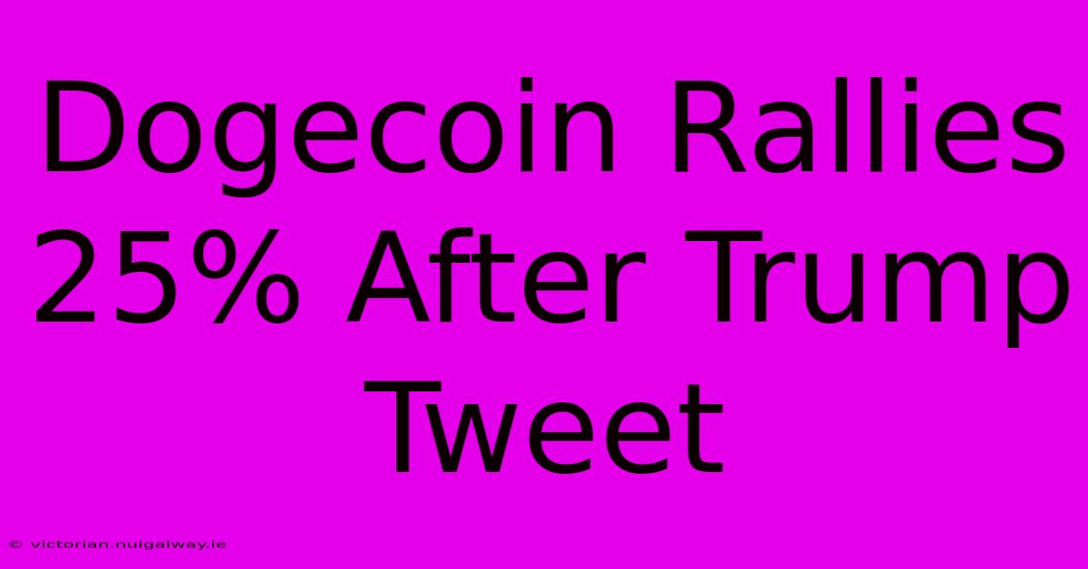 Dogecoin Rallies 25% After Trump Tweet 