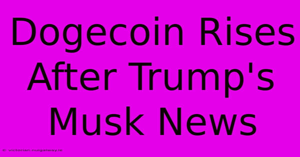 Dogecoin Rises After Trump's Musk News