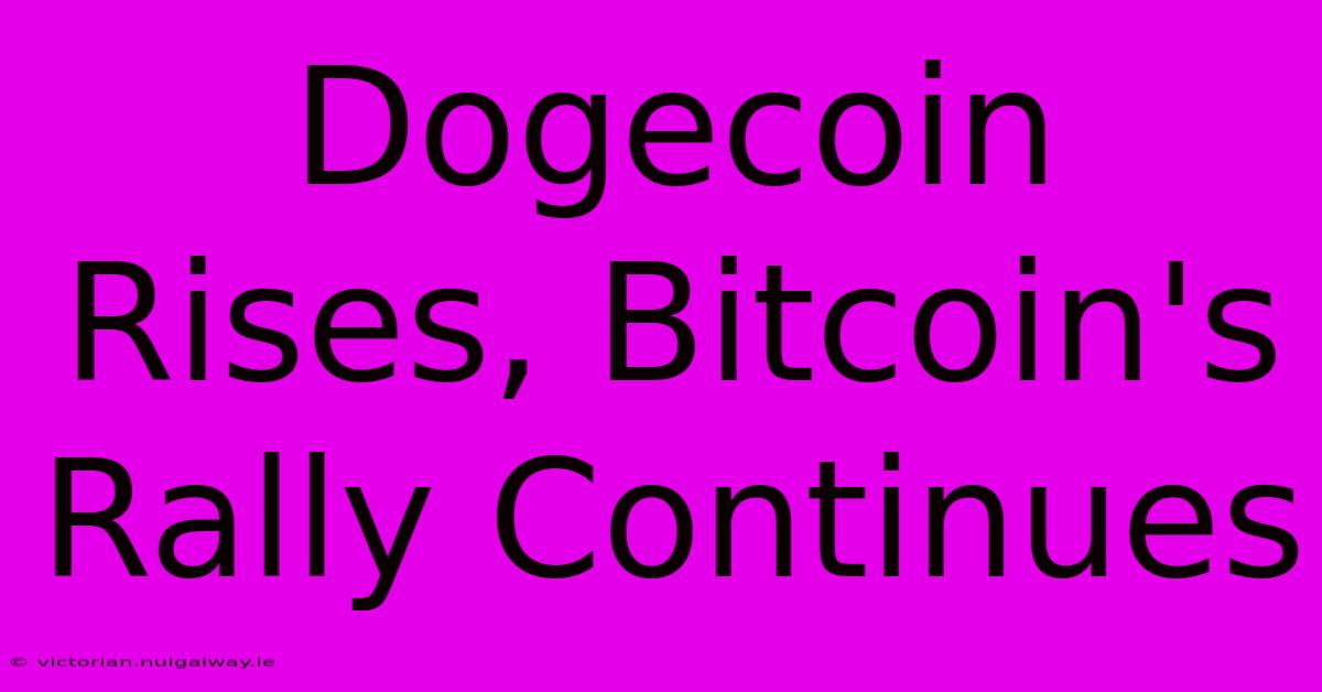 Dogecoin Rises, Bitcoin's Rally Continues