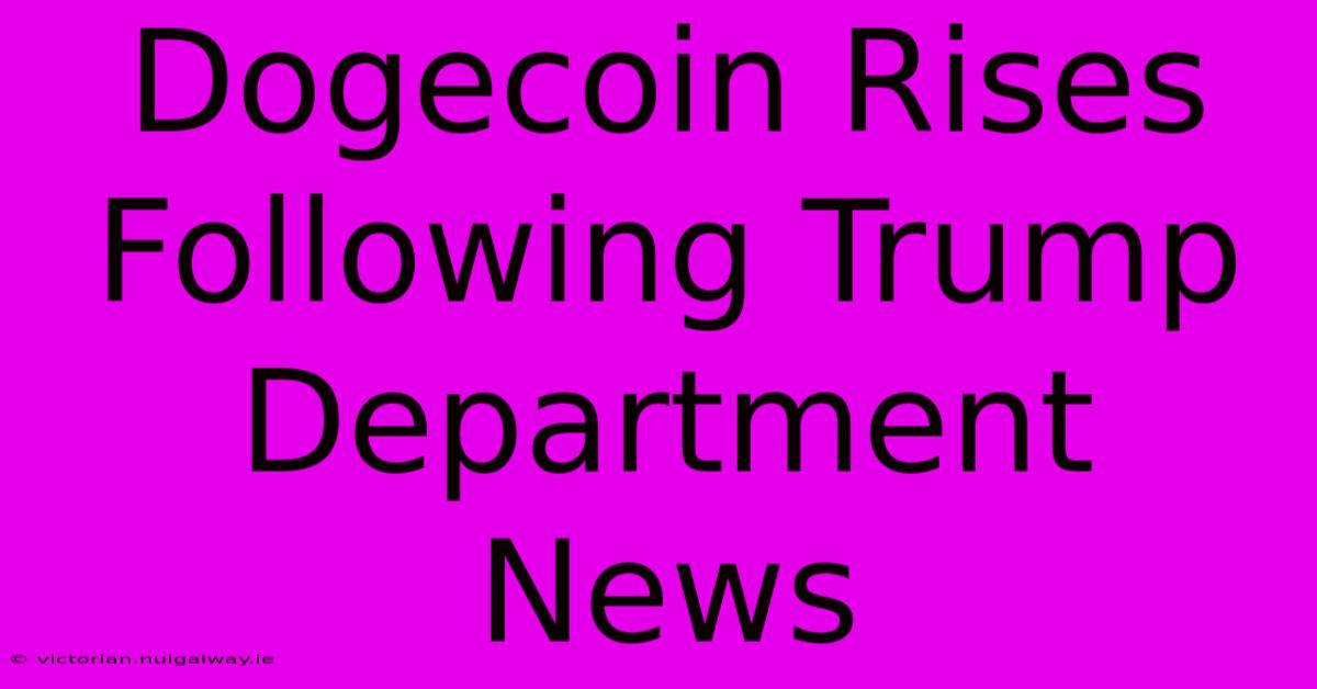 Dogecoin Rises Following Trump Department News 