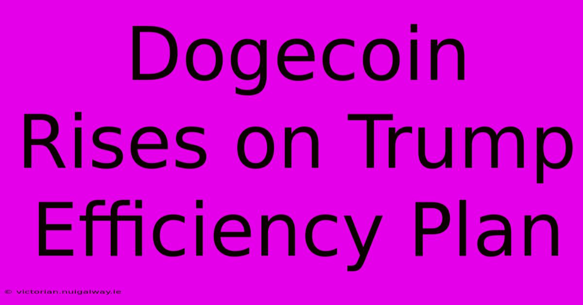 Dogecoin Rises On Trump Efficiency Plan