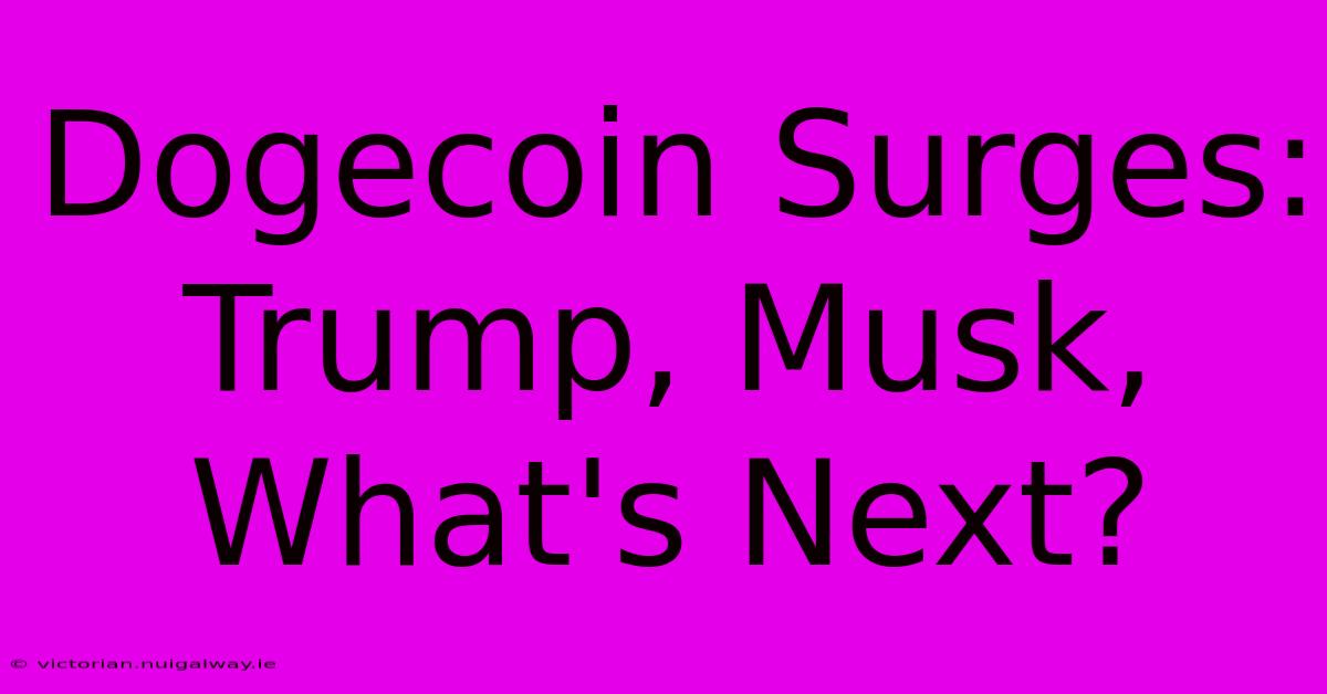 Dogecoin Surges: Trump, Musk, What's Next?