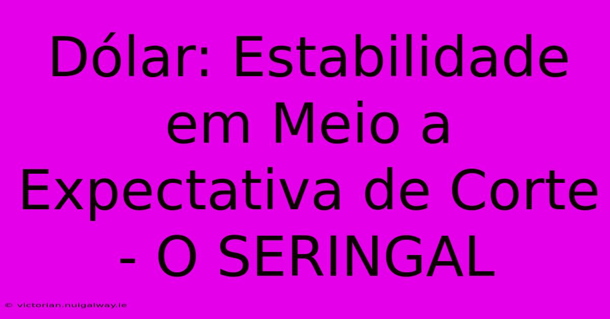 Dólar: Estabilidade Em Meio A Expectativa De Corte - O SERINGAL
