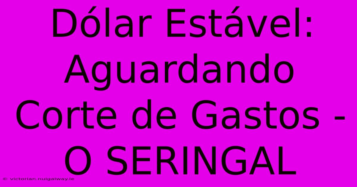 Dólar Estável: Aguardando Corte De Gastos - O SERINGAL