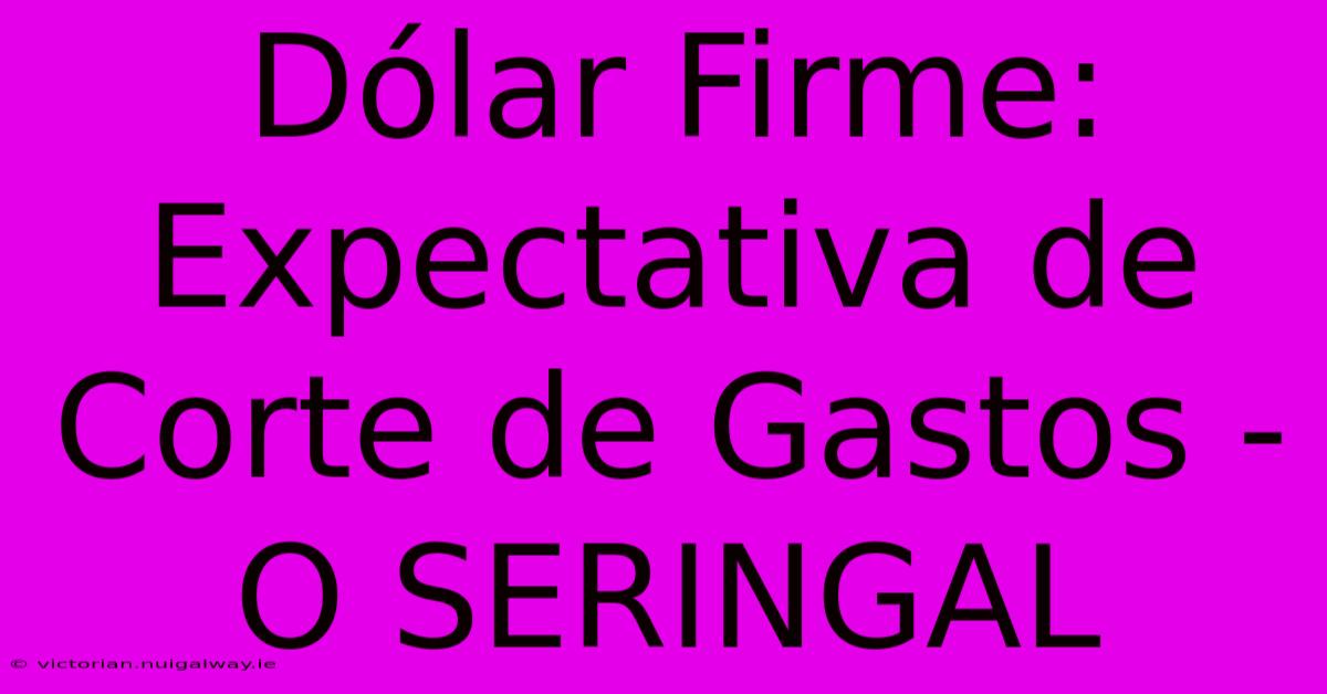 Dólar Firme: Expectativa De Corte De Gastos - O SERINGAL