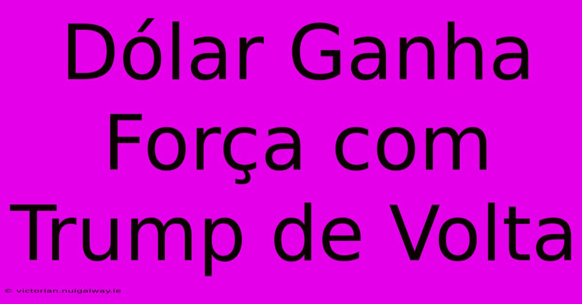 Dólar Ganha Força Com Trump De Volta 