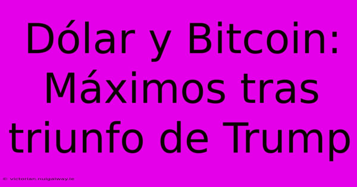 Dólar Y Bitcoin: Máximos Tras Triunfo De Trump