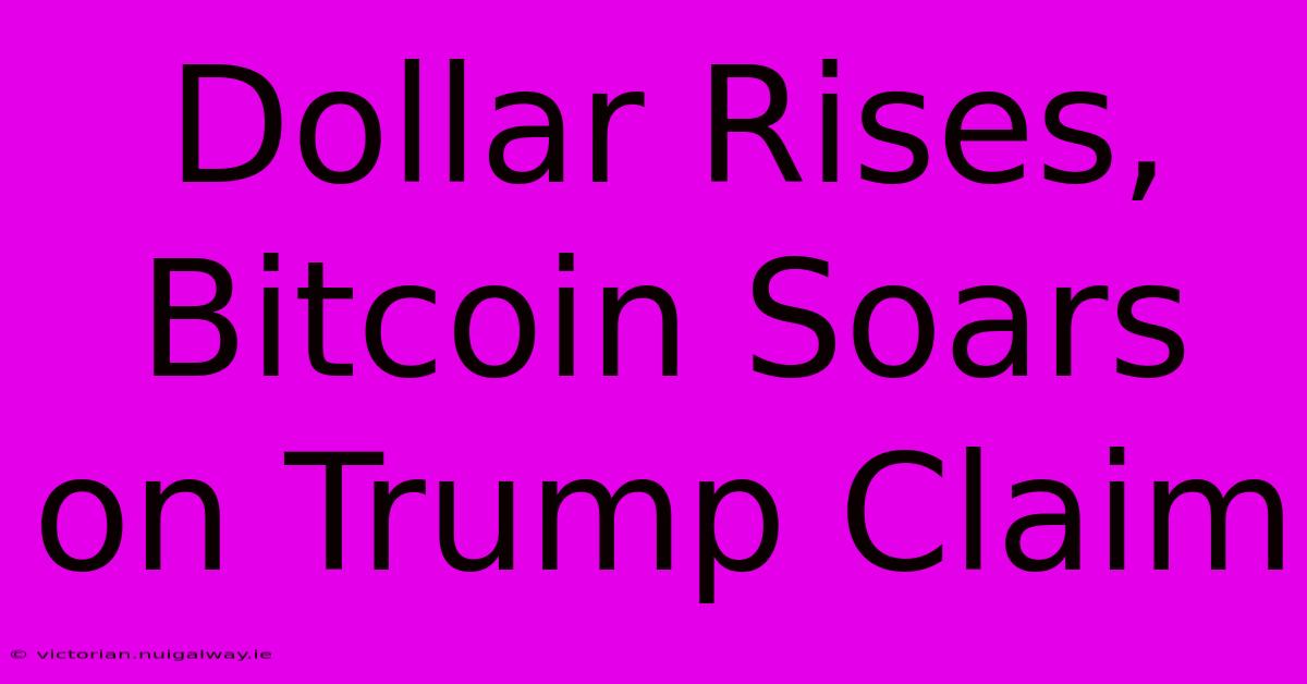 Dollar Rises, Bitcoin Soars On Trump Claim