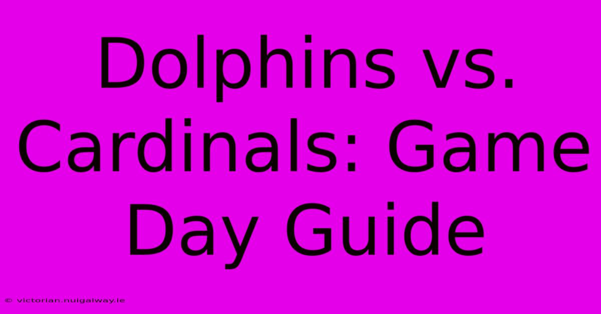 Dolphins Vs. Cardinals: Game Day Guide 