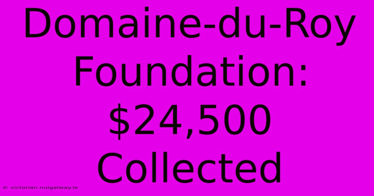 Domaine-du-Roy Foundation: $24,500 Collected