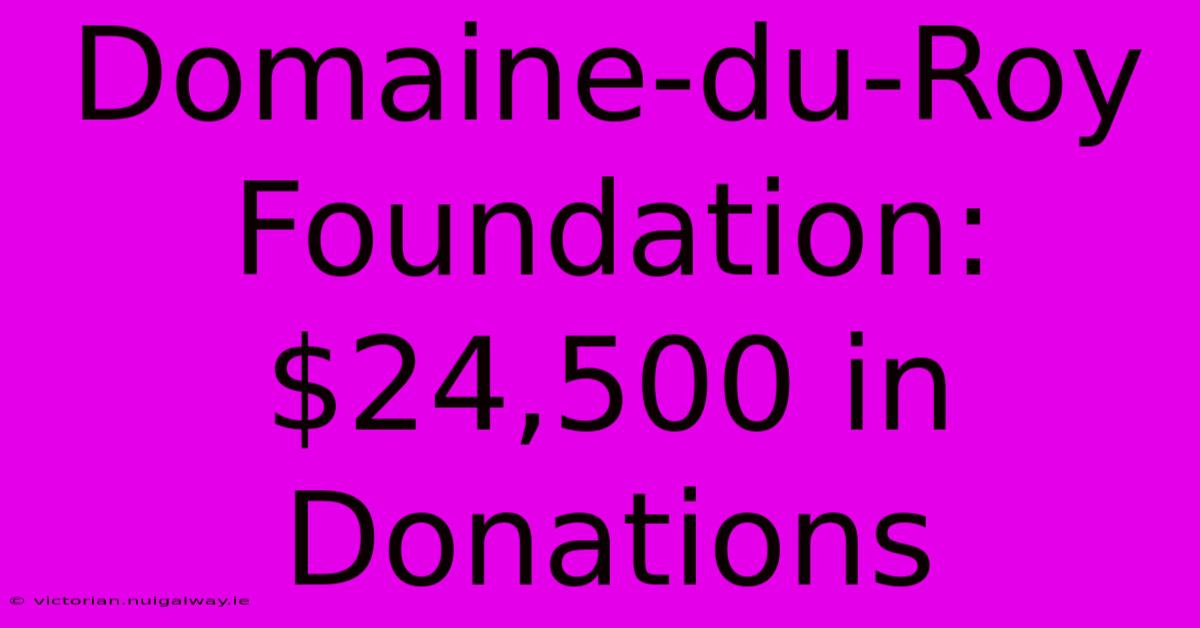 Domaine-du-Roy Foundation: $24,500 In Donations