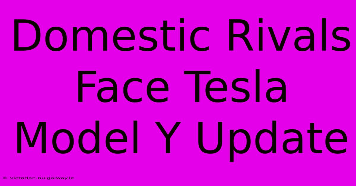 Domestic Rivals Face Tesla Model Y Update