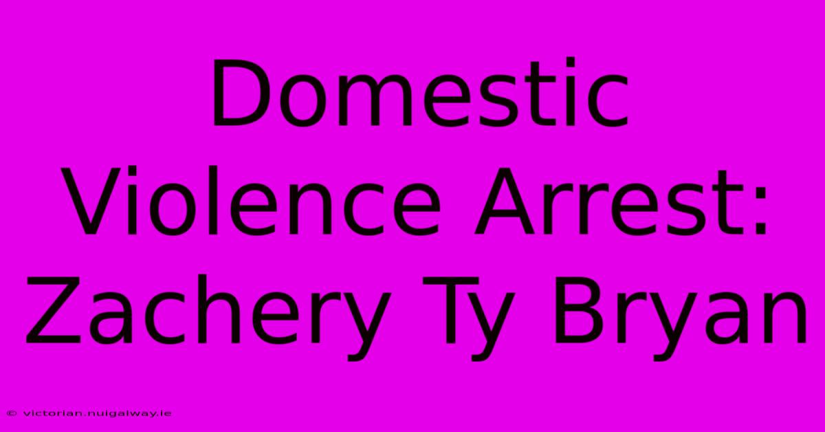 Domestic Violence Arrest: Zachery Ty Bryan