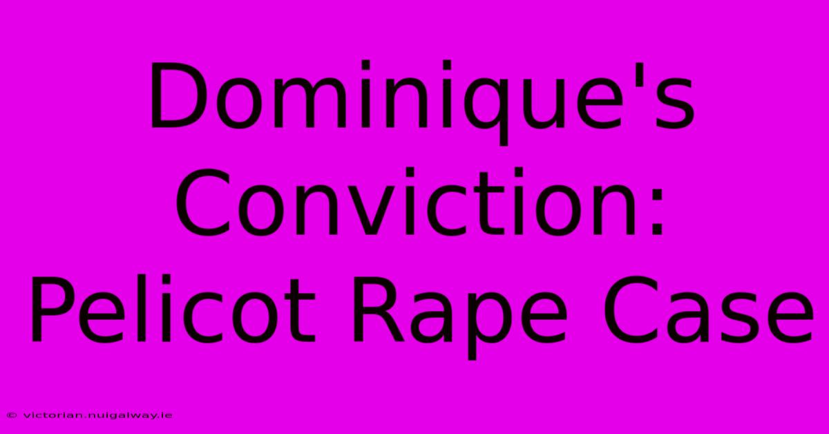 Dominique's Conviction: Pelicot Rape Case