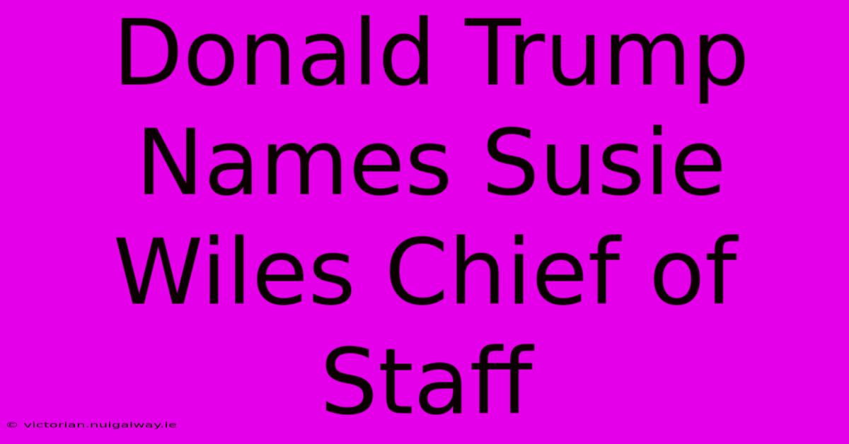 Donald Trump Names Susie Wiles Chief Of Staff 