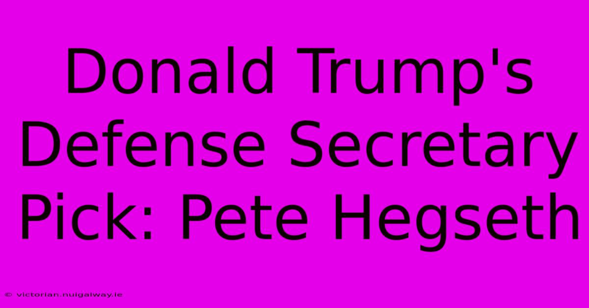 Donald Trump's Defense Secretary Pick: Pete Hegseth