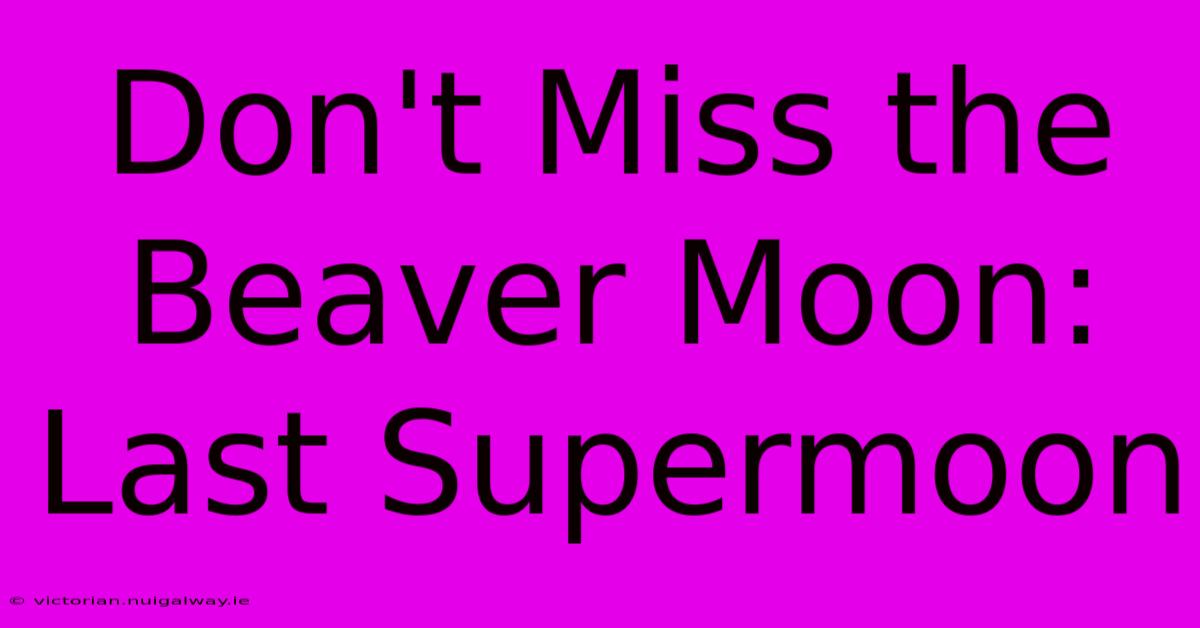 Don't Miss The Beaver Moon: Last Supermoon