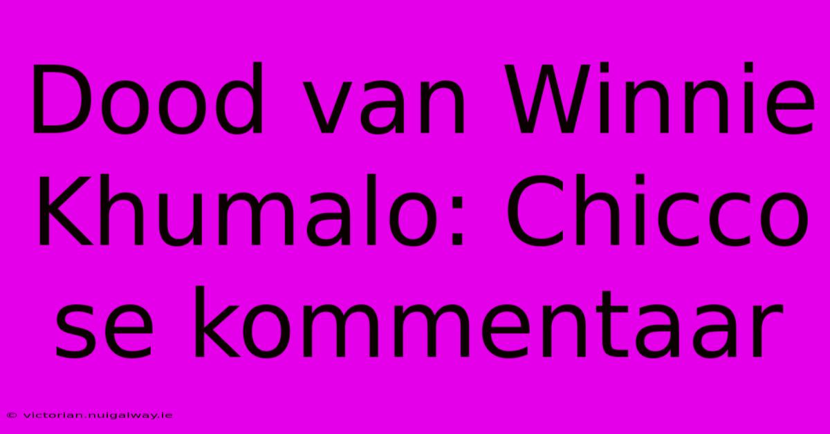 Dood Van Winnie Khumalo: Chicco Se Kommentaar