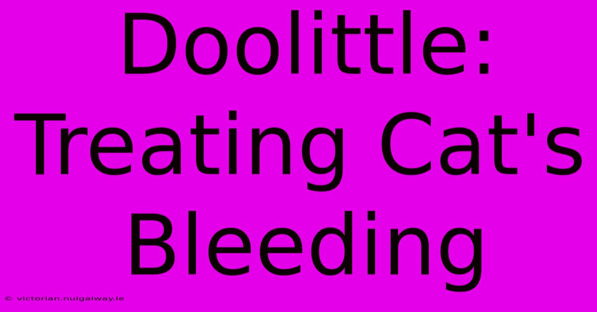 Doolittle: Treating Cat's Bleeding