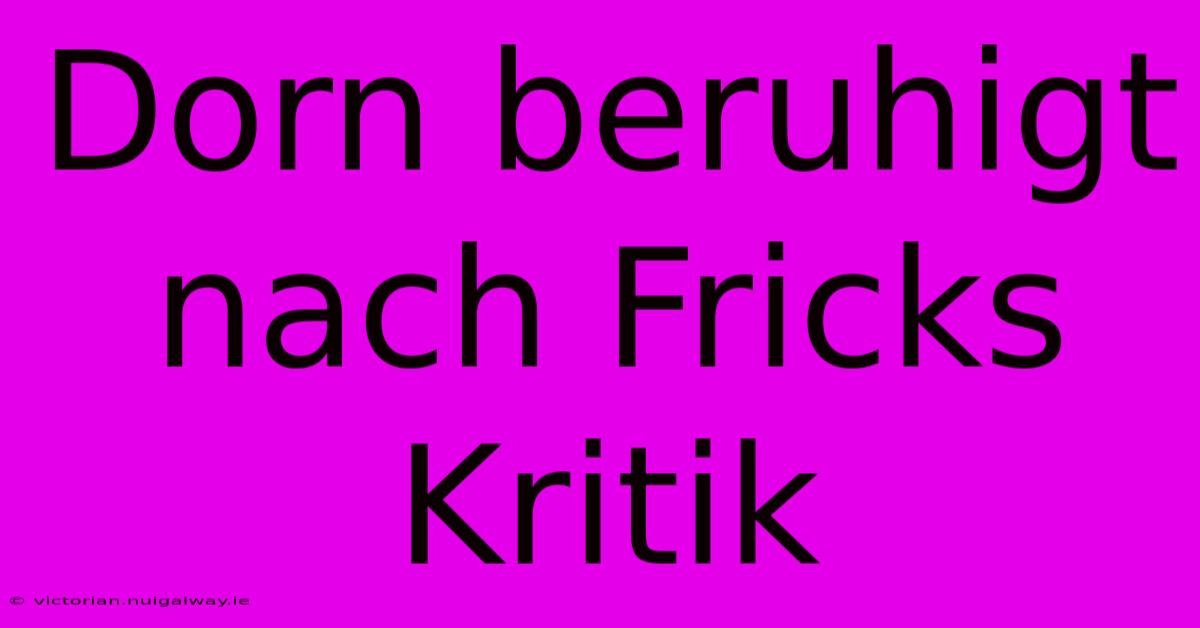 Dorn Beruhigt Nach Fricks Kritik