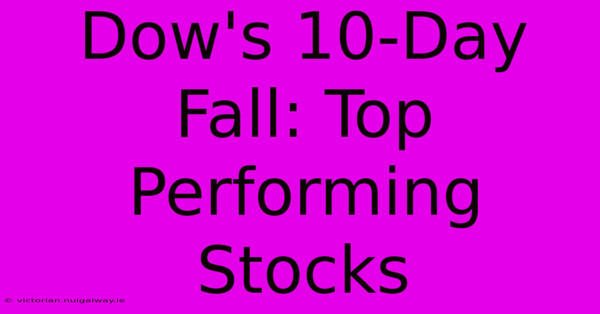 Dow's 10-Day Fall: Top Performing Stocks