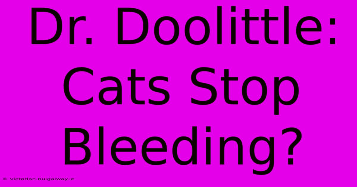 Dr. Doolittle: Cats Stop Bleeding?