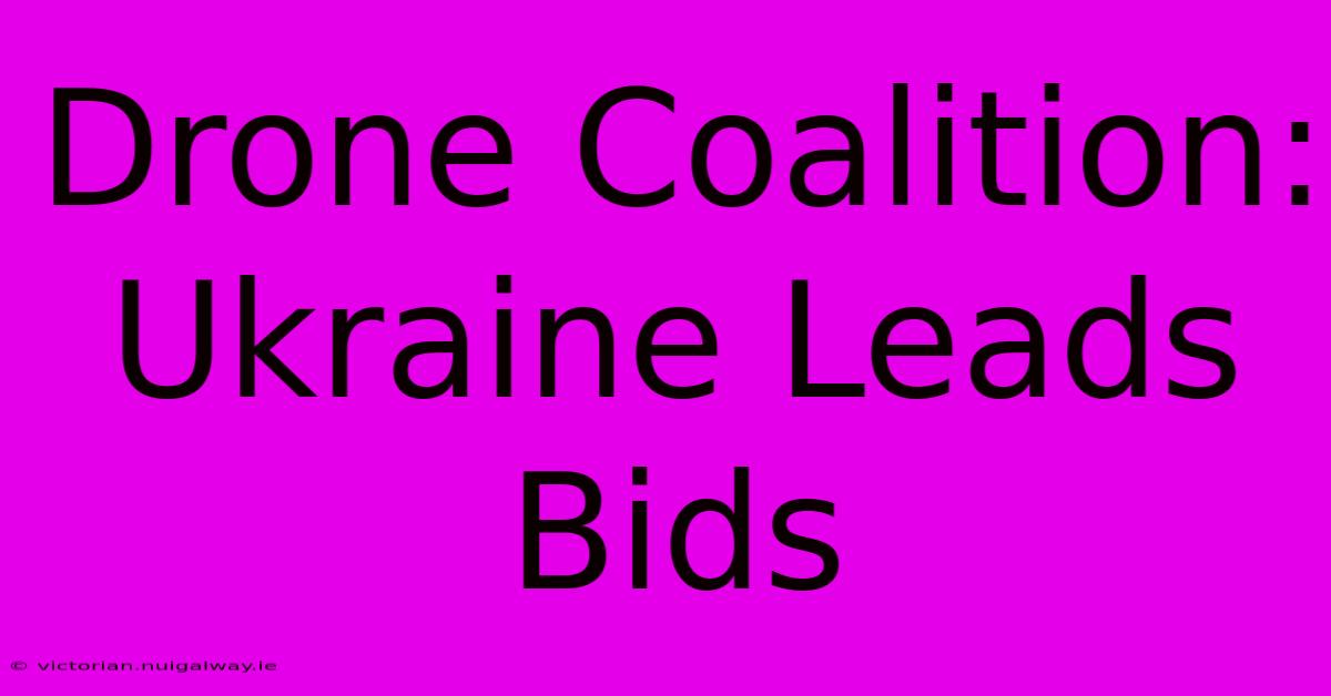 Drone Coalition: Ukraine Leads Bids