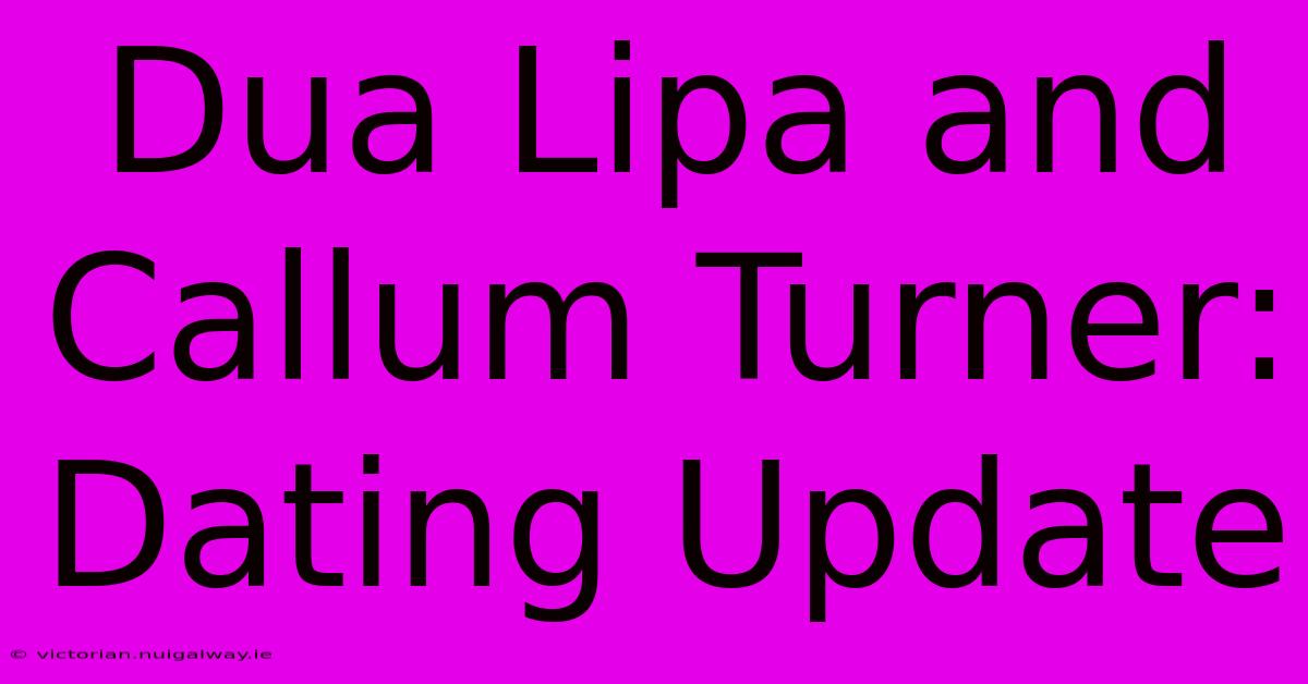 Dua Lipa And Callum Turner: Dating Update