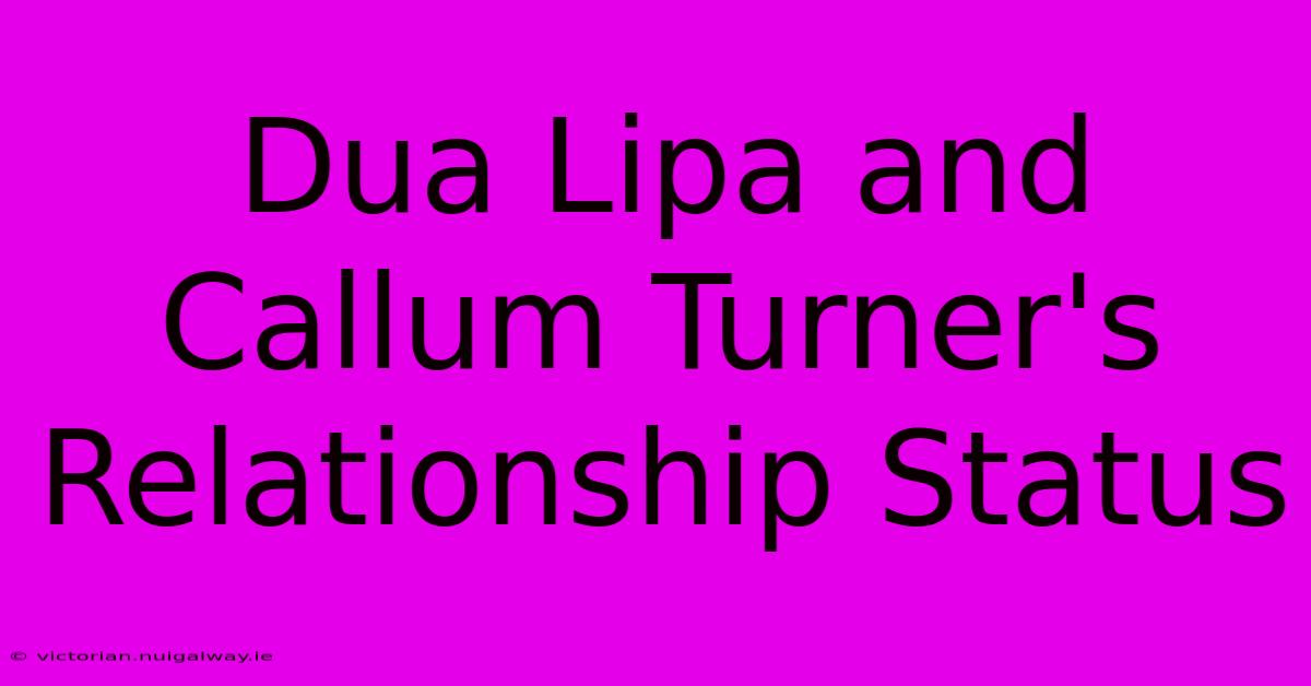 Dua Lipa And Callum Turner's Relationship Status