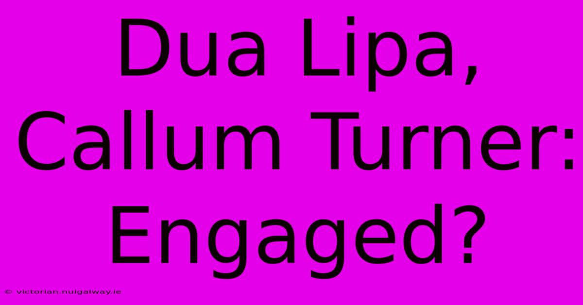 Dua Lipa, Callum Turner: Engaged?