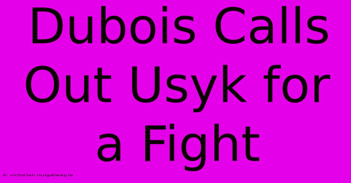 Dubois Calls Out Usyk For A Fight