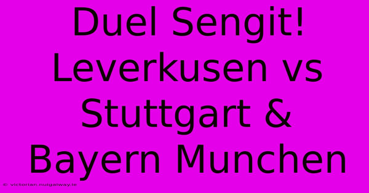 Duel Sengit! Leverkusen Vs Stuttgart & Bayern Munchen