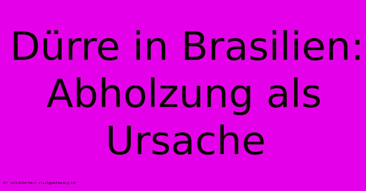 Dürre In Brasilien: Abholzung Als Ursache