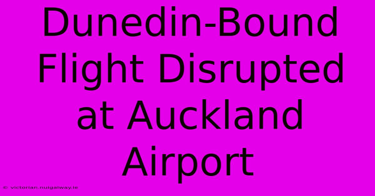 Dunedin-Bound Flight Disrupted At Auckland Airport