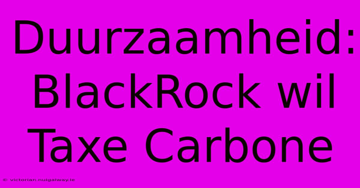 Duurzaamheid: BlackRock Wil Taxe Carbone