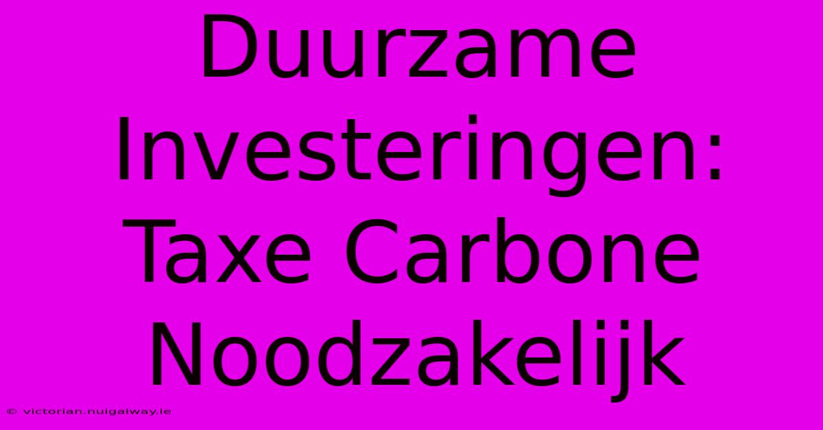 Duurzame Investeringen: Taxe Carbone Noodzakelijk