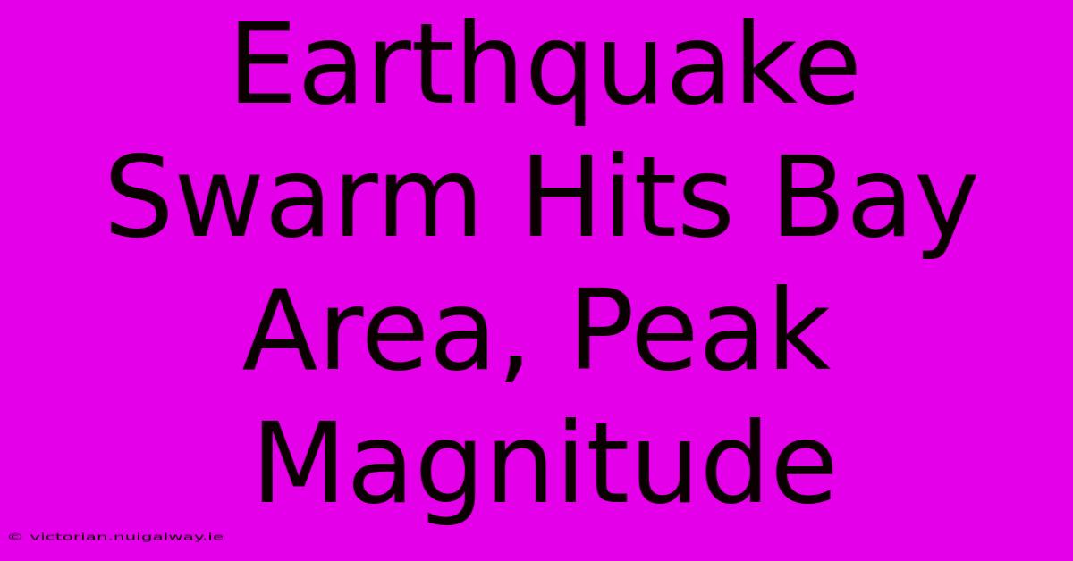 Earthquake Swarm Hits Bay Area, Peak Magnitude