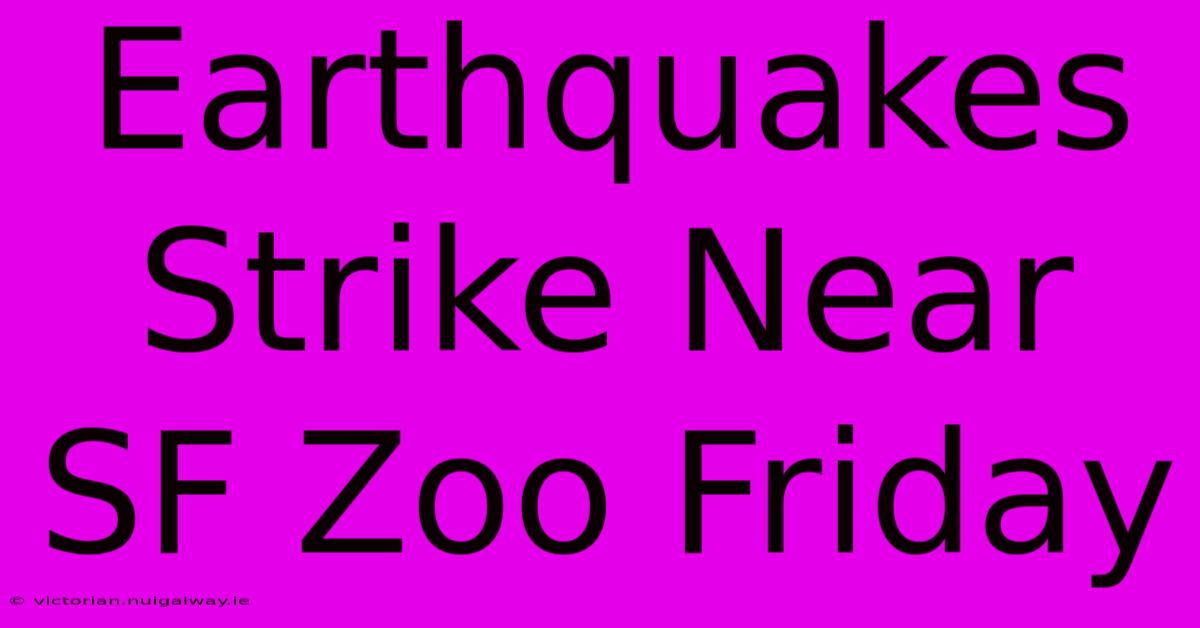 Earthquakes Strike Near SF Zoo Friday