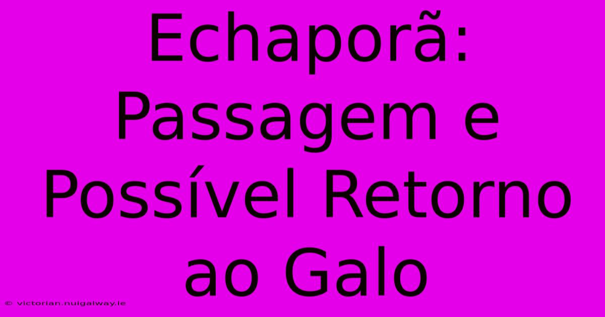 Echaporã: Passagem E Possível Retorno Ao Galo 