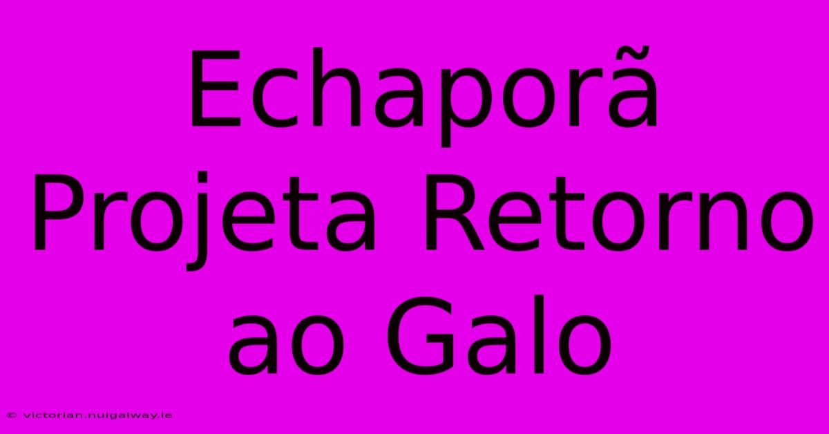 Echaporã Projeta Retorno Ao Galo