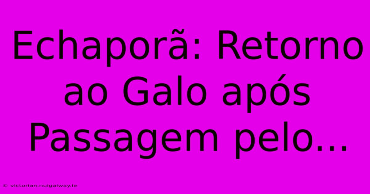 Echaporã: Retorno Ao Galo Após Passagem Pelo...