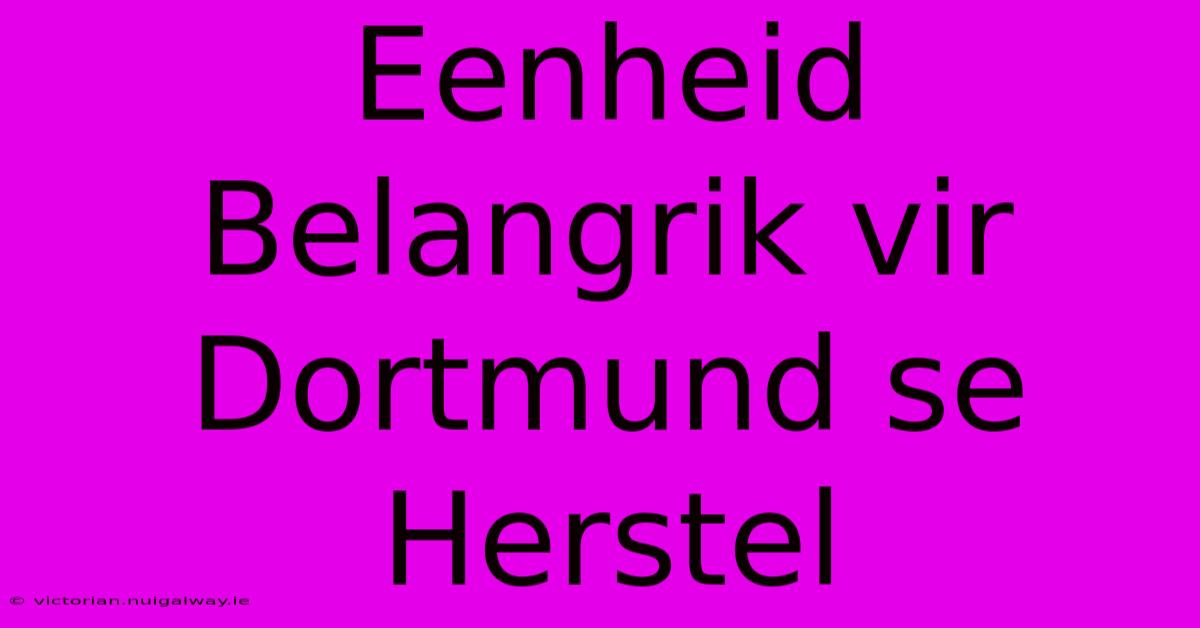 Eenheid Belangrik Vir Dortmund Se Herstel