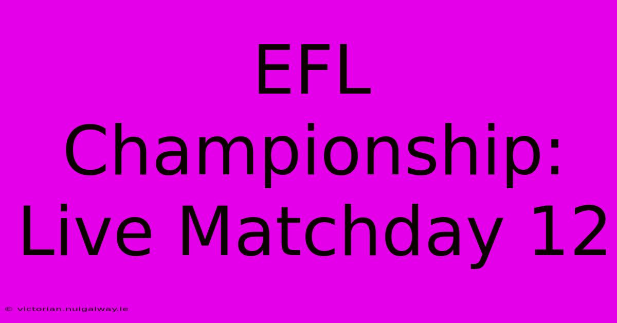 EFL Championship: Live Matchday 12