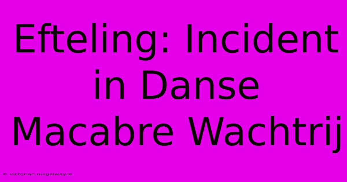 Efteling: Incident In Danse Macabre Wachtrij